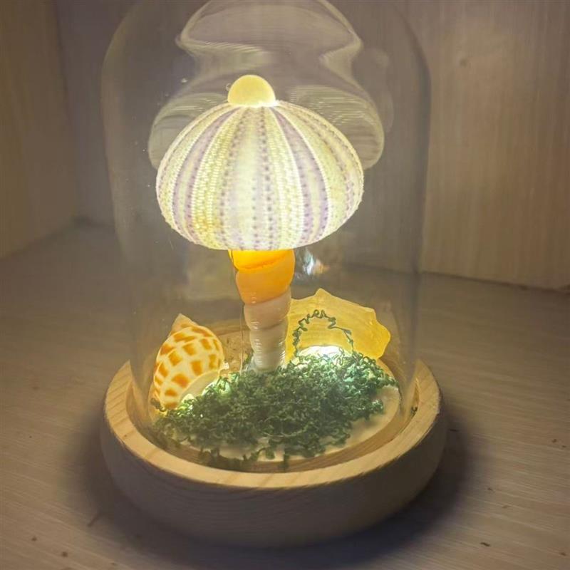 海胆贝壳小夜灯ins蘑菇灯送闺蜜女友生日结婚礼物手工海洋伴手礼