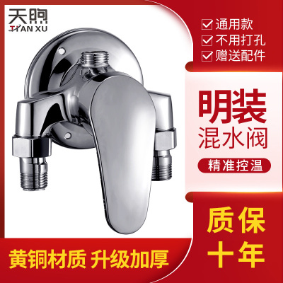 热水器明装混水阀冷热淋浴花洒