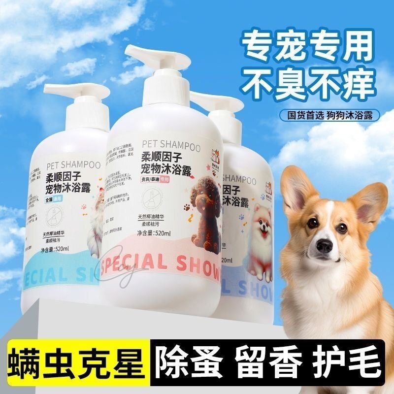 狗狗沐浴露杀菌除臭持久留香泰迪比熊小狗洗澡宠物专用香波浴液