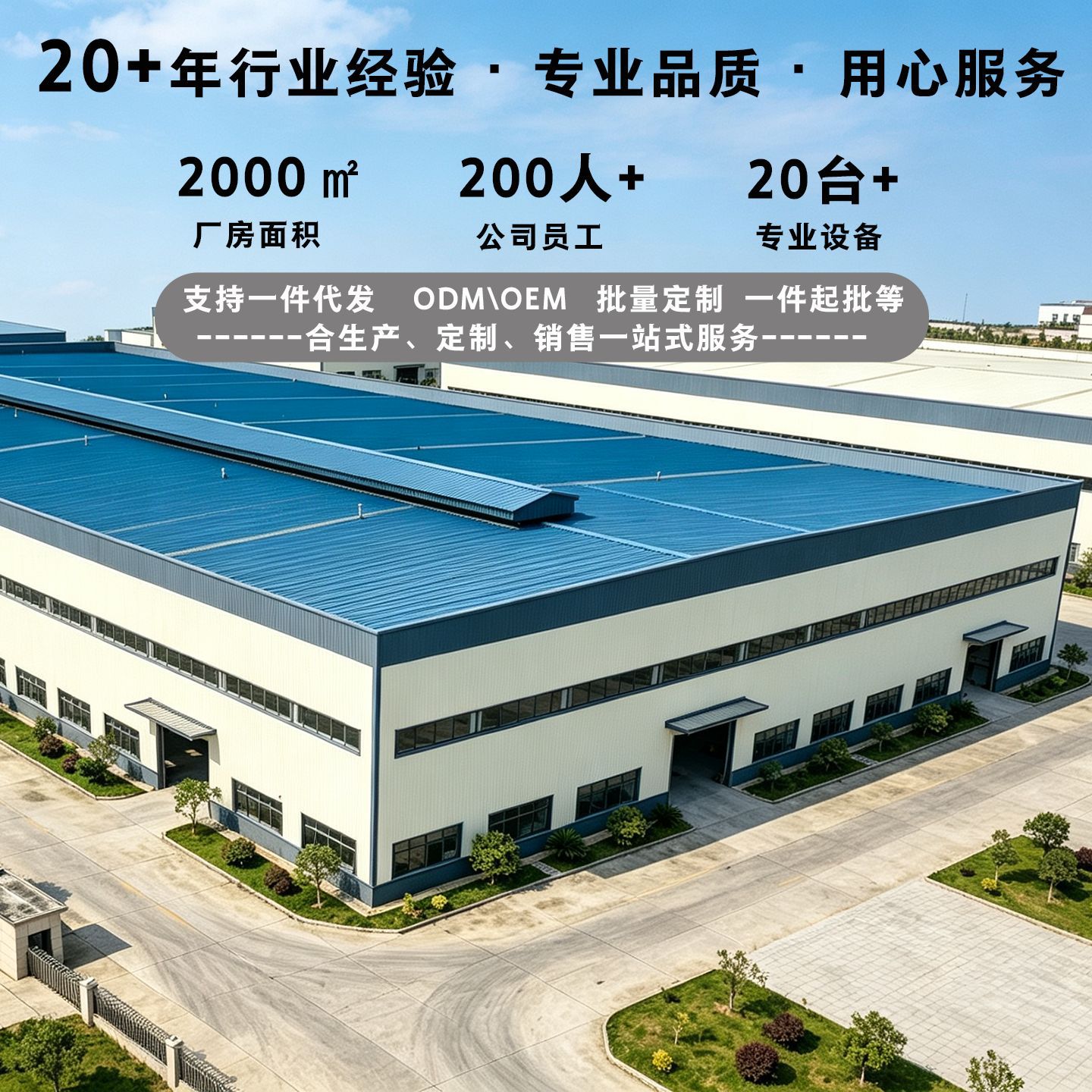 高白瓷餐具套装景德镇高温釉下彩碗碟套装家用乔迁送礼饭碗盘子