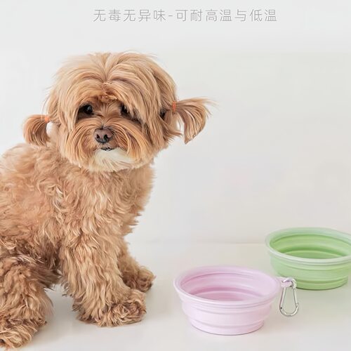宠物狗狗猫咪出门折叠碗