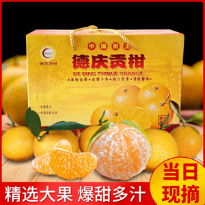 正宗德庆皇帝柑现摘新鲜贡柑非沃桔丑子橘爱媛水果整箱10斤装包邮