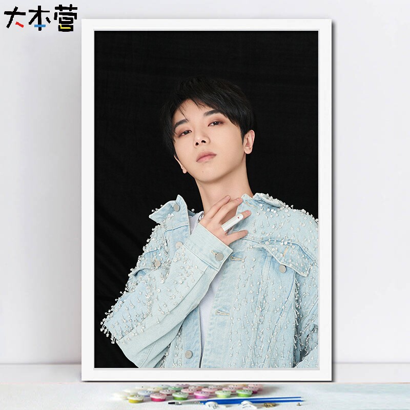 花花华晨宇diy数字油画 手绘填充涂色丙烯油彩画 装饰卧室明星画