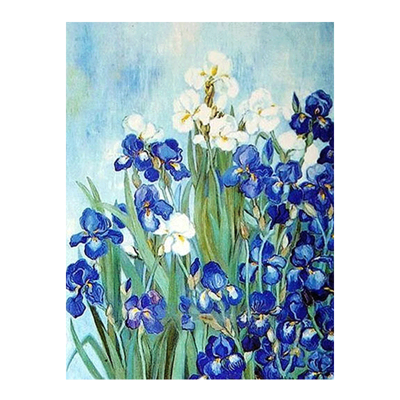 梵高鸢尾花 世界名画diy数字油画 手绘填色丙烯油彩画 风景装饰画