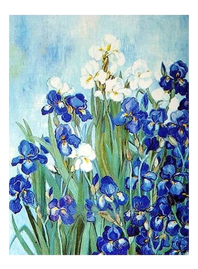 梵高世界名画鸢尾花diy数字油画