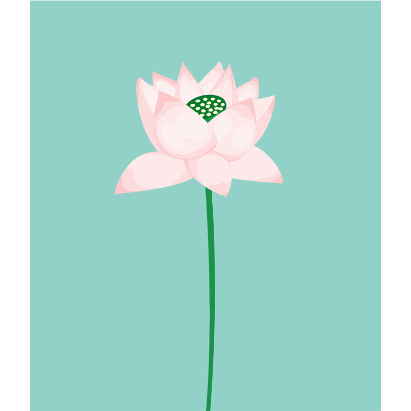 大本营diy数字油画映日荷花挂画