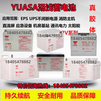 YUASA汤浅蓄电池NP65-12消防12V65AH17.2A24A38A100A120AH机房UPS