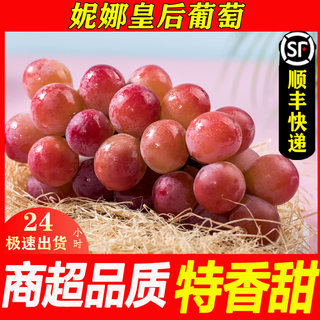 顺丰妮娜皇后葡萄葡萄尼娜女皇新鲜孕妇水果提子新鲜水果当季