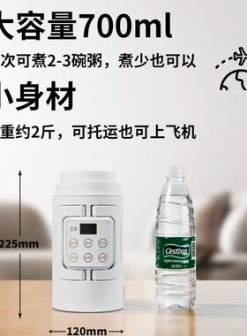 一人小炖锅煮粥神器隔水炖盅宝宝煲汤专用锅家用全自动旅行便携壶