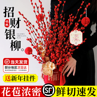 花叶春新年银芽柳鲜枝七彩柳节日红色招财鲜花干花室内装饰花卉