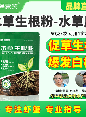 渔惠笑水草生根粉长白根发棵草救星轮叶黑藻伊乐藻长根保草防飘草