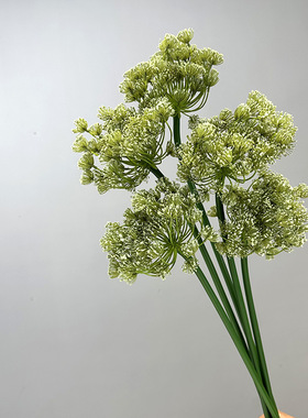 仿真蒲公英葱球花现代简