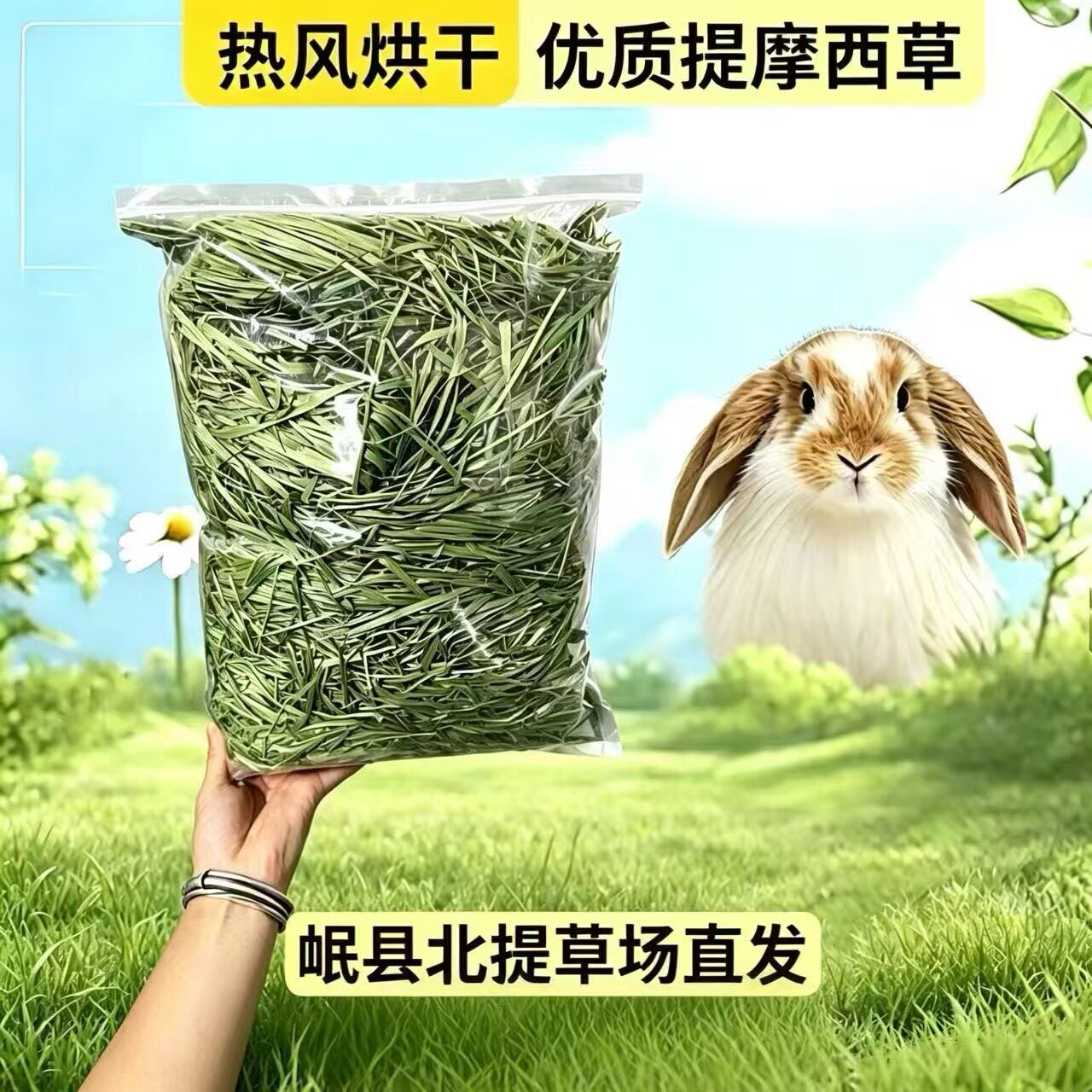 26年新烘干头茬提摩西草兔兔龙猫豚鼠荷兰猪满5斤99.9铝箔袋包装