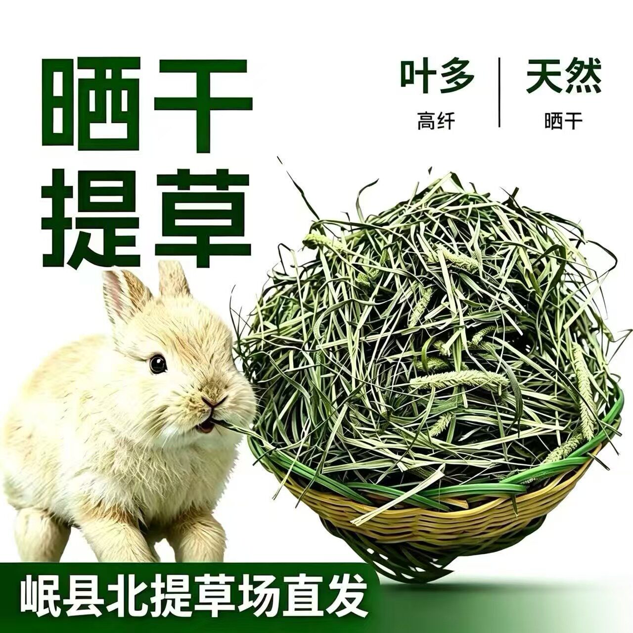 26晒干提摩西一袋一斤装5斤包邮