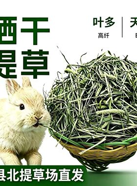 25晒干提摩西一袋一斤装5斤包邮