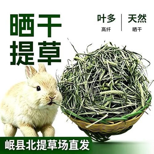 25晒干提摩西一袋一斤装5斤包邮