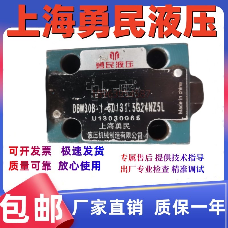 机械 h电磁溢流阀DBW30B-1-50/31.5G24NZ5L  DBW10/20