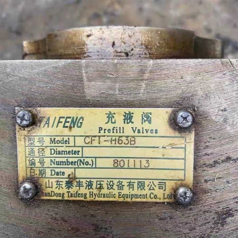 山东泰丰液压设备有限公司 充r液阀 TCF1-H63B(老款CF1-H63B)