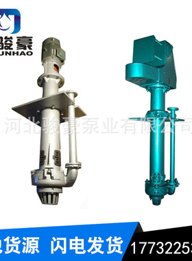 立式 液下 耐磨渣i浆泵  细沙回收机专用泵40PV-SP 65QV-SP 100QV