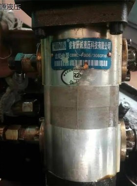 十堰睿智辰诚液压技术有限公司 双联齿轮油泵 CBWL-F306/30.6CFHR