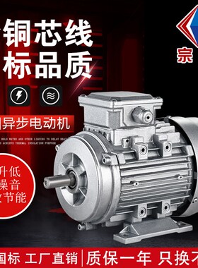 厂家现货供应YS8022 1.1KW立式I铝壳电机三相异步电动机电机