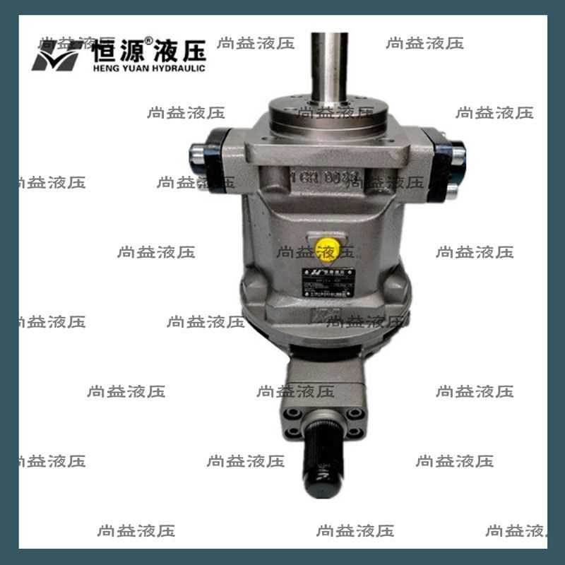 江苏恒源津达柱塞泵HY-10/25/40/63/80/107/1J25/160S-RP HY25S-R