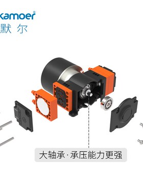 KLLP10i00 无刷电机 双头小型隔膜液泵
