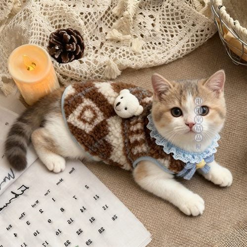 猫咪衣服冬季保暖可爱双面绒马甲背心布偶猫金渐层蓝猫防着凉背心