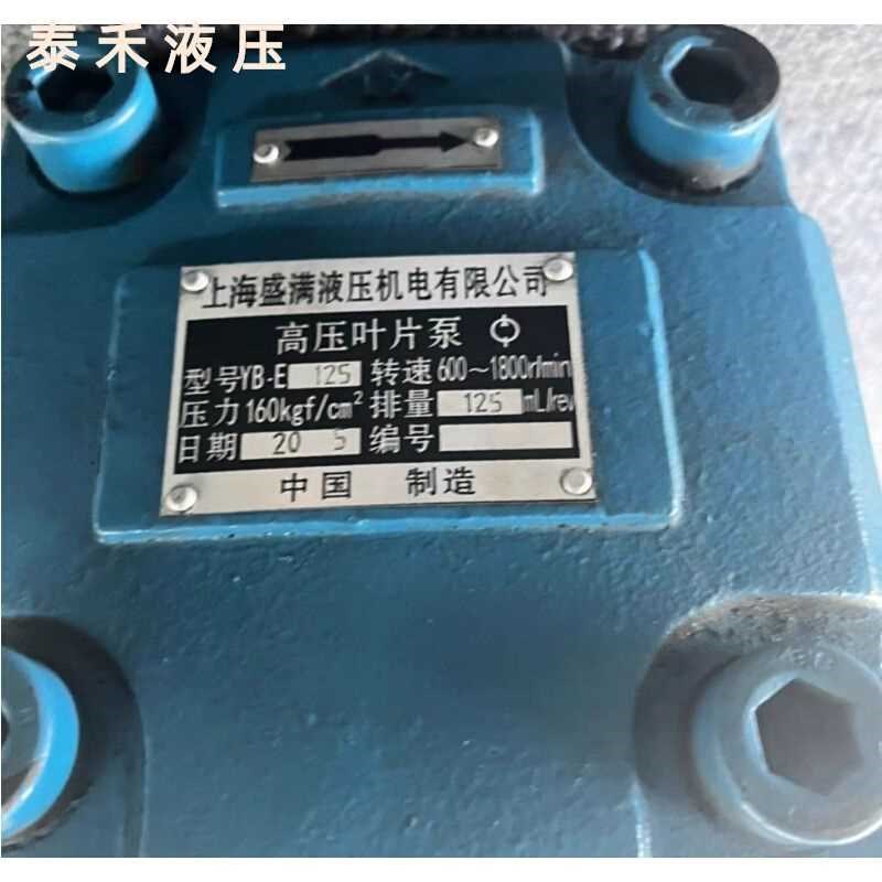高压叶片泵YB1-E1s25 上海液满,压力160,排量125