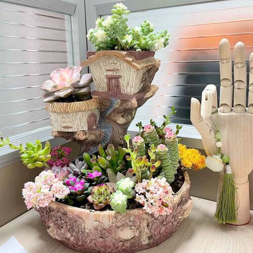 空中花园多口径文竹老桩多肉花盆