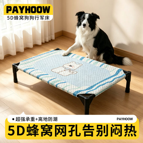 夏日养宠好物！告别闷乎乎的床窝