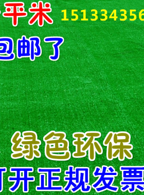 人造草坪仿真草坪塑料假绿植幼儿园人工草皮楼顶婚庆绿色地毯包邮