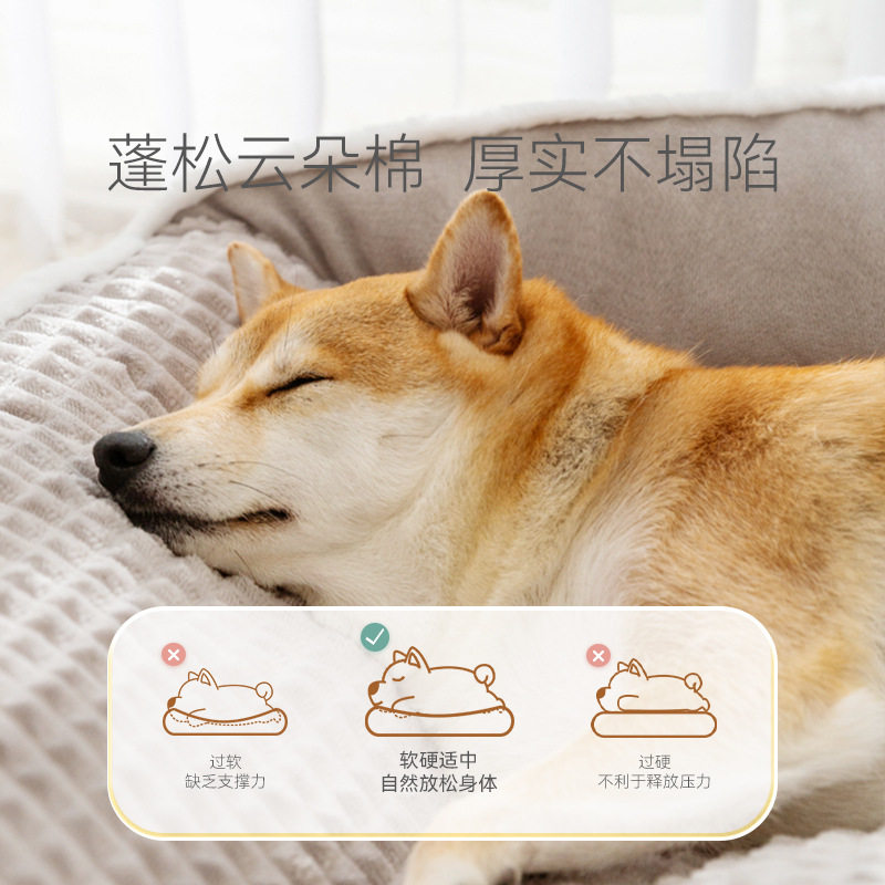秋冬季狗窝中大型犬金毛