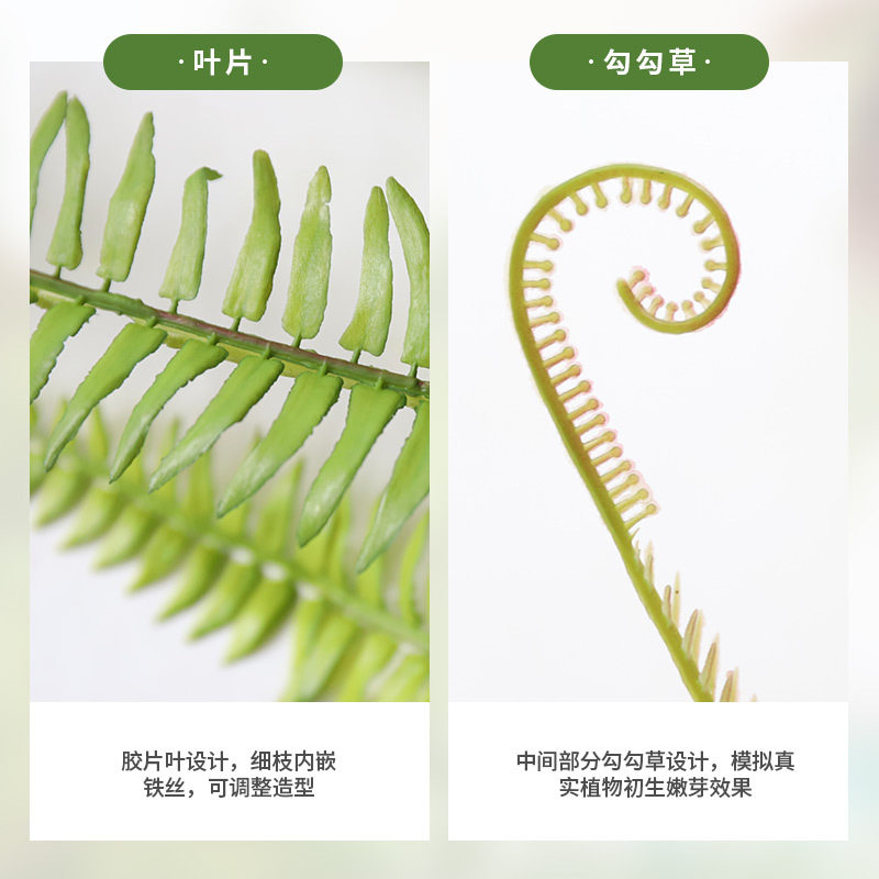 实物拍摄仿真绿植霸王蕨