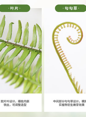 实物拍摄仿真绿植霸王蕨
