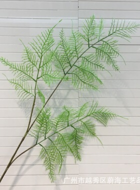 仿真文竹黑骨芒锯叶家居
