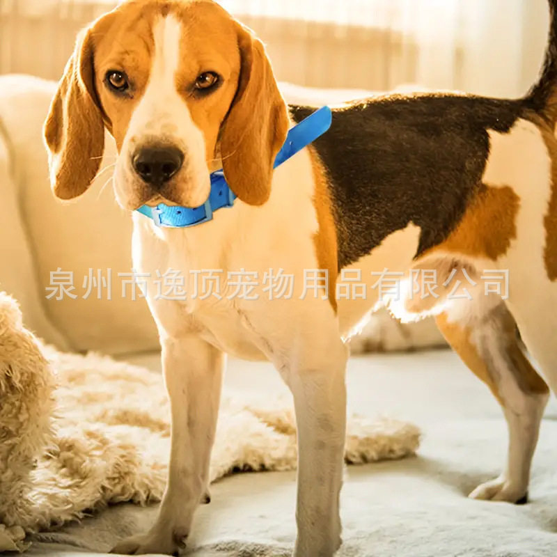 宠物猫狗夜间反光项圈多