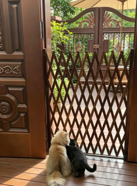 宠物围栏栅栏隔离门户外室内伸缩隔断拦猫拦狗栅栏挡板隔离网门栏