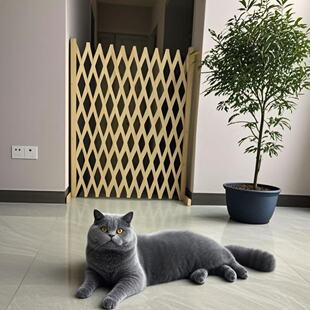 宠物围栏栅栏隔离门户外室内伸缩隔断拦猫拦狗栅栏挡板隔离网门栏