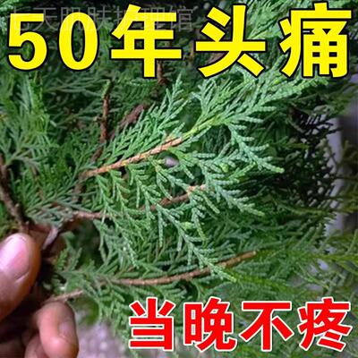 100%头不疼】头疼专用膏三叉神经性顽固性头疼缓解神器特校药膏G