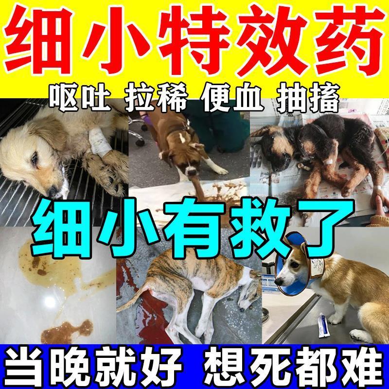 细小病毒特效药治疗狗狗拉稀便血犬瘟犬细小独霸抗病毒专用犬独抗