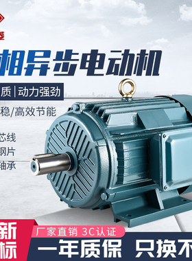 YE2/YE3三相异步电动机/电机380V/4P/3/4 5.5 7.5 11 15 22 37KW