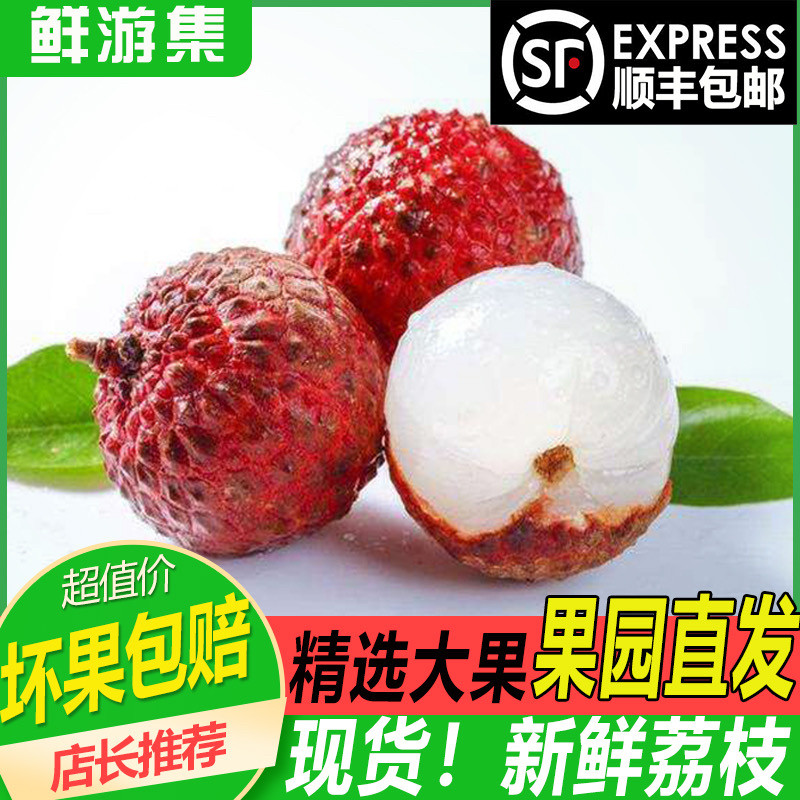 新鲜荔枝妃子笑荔枝当季白糖现货婴新鲜水果大量批发零售奶茶火锅