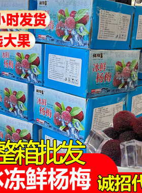 鲜游集冰鲜杨梅批发零售诚招代理