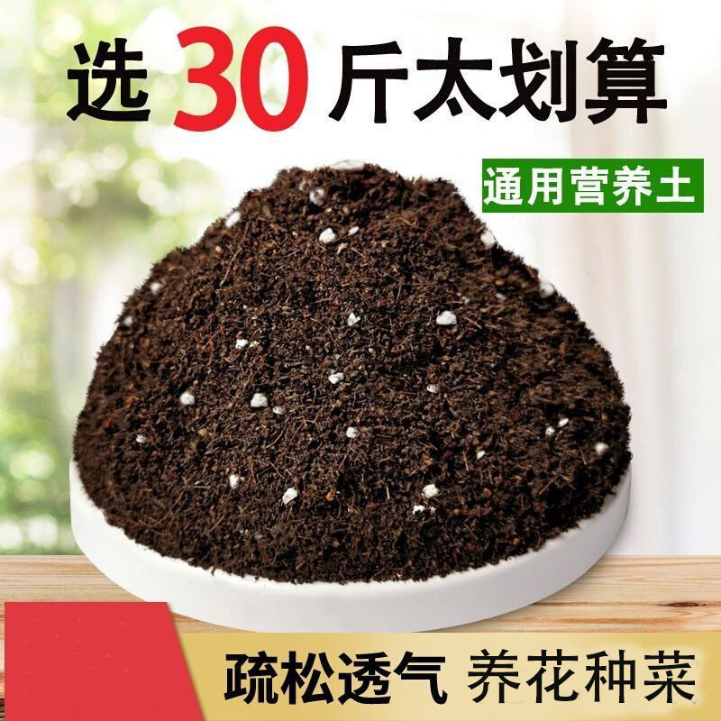 多肉绿萝营养土花土壤种植土有机图片