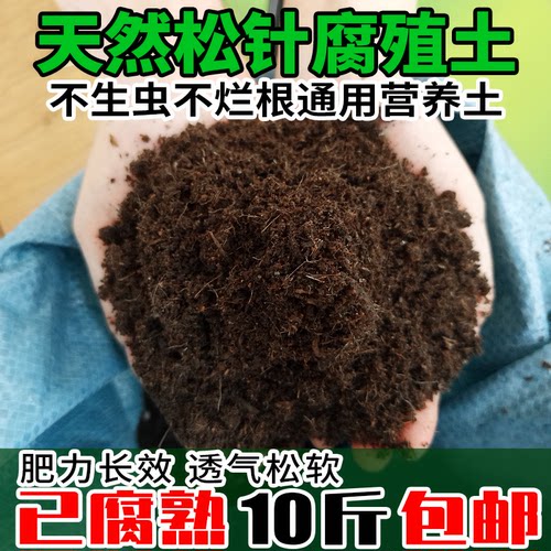 腐叶土多少钱 腐叶土价格 小麦优选