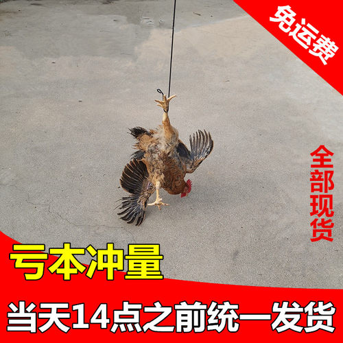 抓鸡神器钩子勾子户外家用捉鸡工具养殖场捕鸡鸭鸡脚套逮鸡舍爪鸡