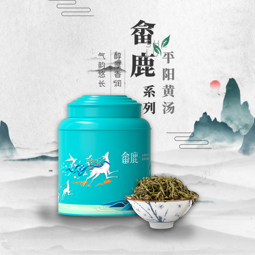平阳黄茶子久新茶礼盒装