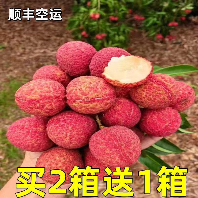 海南无核荔枝当季现摘现发整箱包邮无籽荔枝3-5斤应季新鲜水果