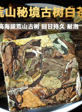 荒山古树普洱白茶500克